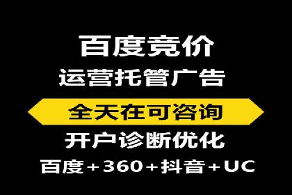 深入解析SEM竞价托管的成功案例
